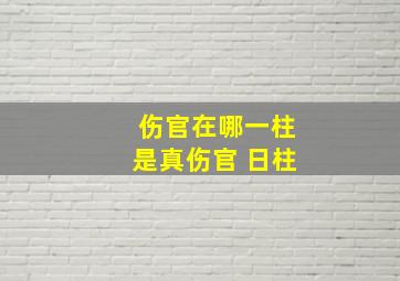 伤官在哪一柱是真伤官 日柱